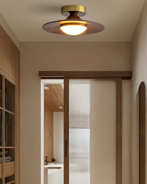 Luminaires de Plafond Modernes - Élégance et Design Compact