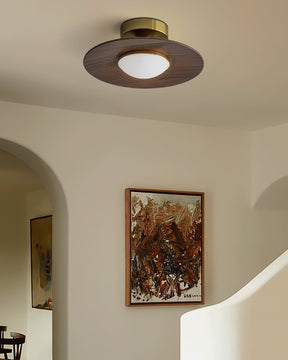 Luminaires de Plafond Modernes - Élégance et Design Compact