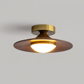 Luminaires de Plafond Modernes - Élégance et Design Compact