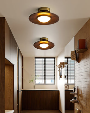 Luminaires de Plafond Modernes - Élégance et Design Compact