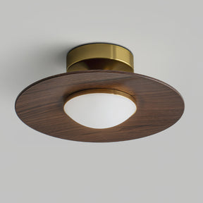 Luminaires de Plafond Modernes - Élégance et Design Compact