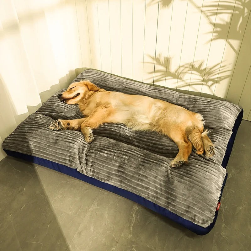 Lit Orthopédique pour Chiens - Confort et Soutien Antidérapants