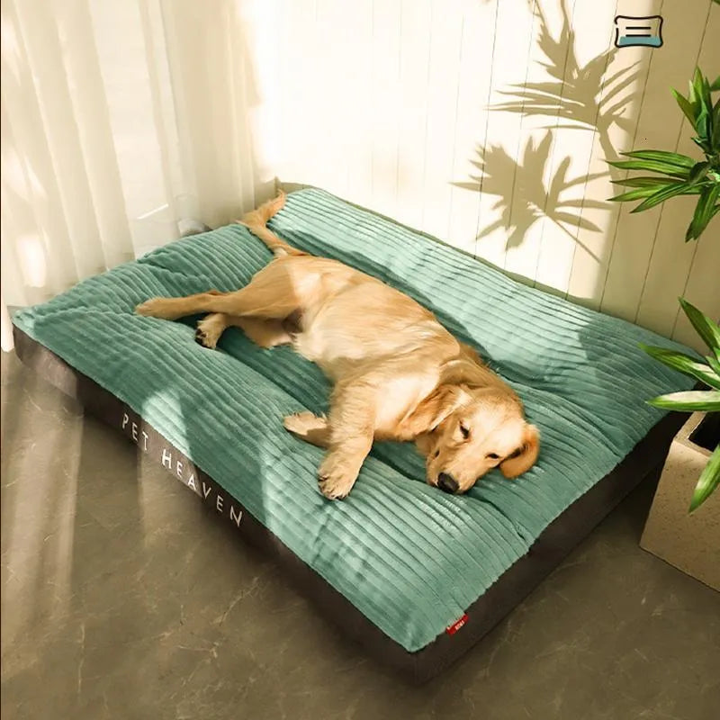 Lit Orthopédique pour Chiens - Confort et Soutien Antidérapants