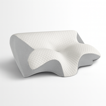Oreiller Orthopédique Mousse à Mémoire - Support Ergonomique pour Cou et Épaules