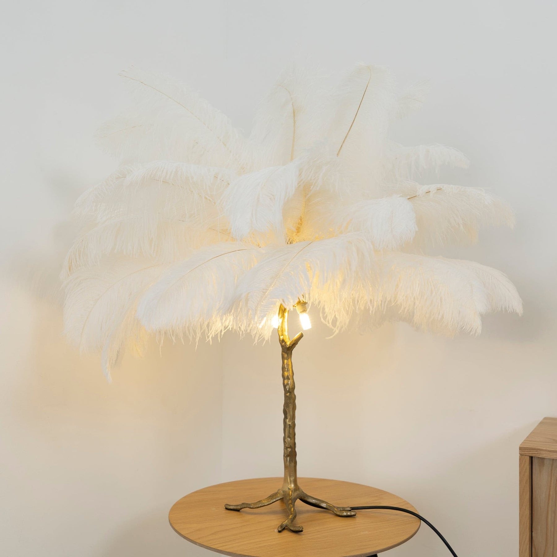 Lampe de Table Élégante en Plumes - Design Luxueux et Atmosphère Romantique