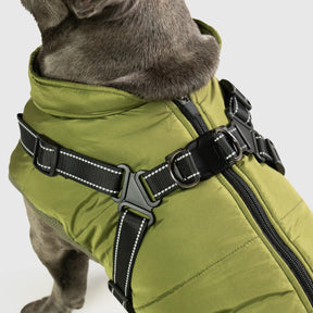 Manteau Imperméable pour Chien - Harnais Intégré et Confort Optimal