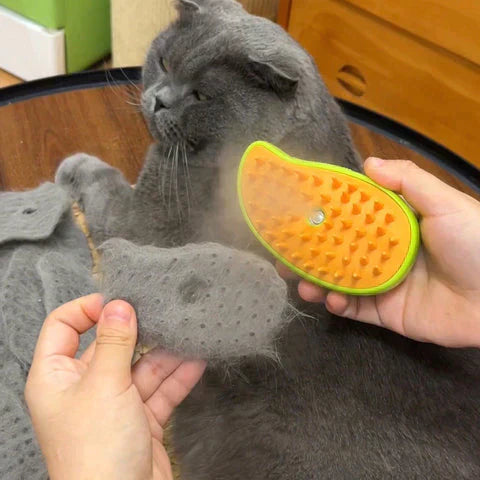 Brosse de Toilettage à Vapeur pour Chats - Toilettage Relaxant et Pelage Brillant