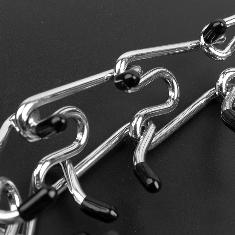 Collier de Dressage pour Chien - Ajustable avec Pointes en Métal