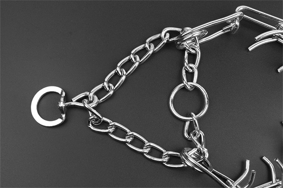 Collier de Dressage pour Chien - Ajustable avec Pointes en Métal