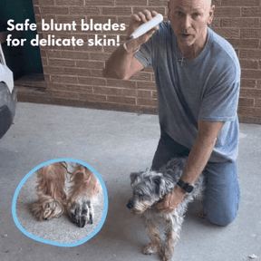 Tondeuse Silencieuse pour Animaux | Toilettage Doux des Zones Sensibles