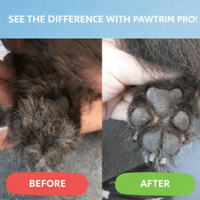 Tondeuse Silencieuse pour Animaux | Toilettage Doux des Zones Sensibles