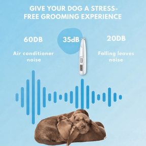 Tondeuse Silencieuse pour Animaux | Toilettage Doux des Zones Sensibles