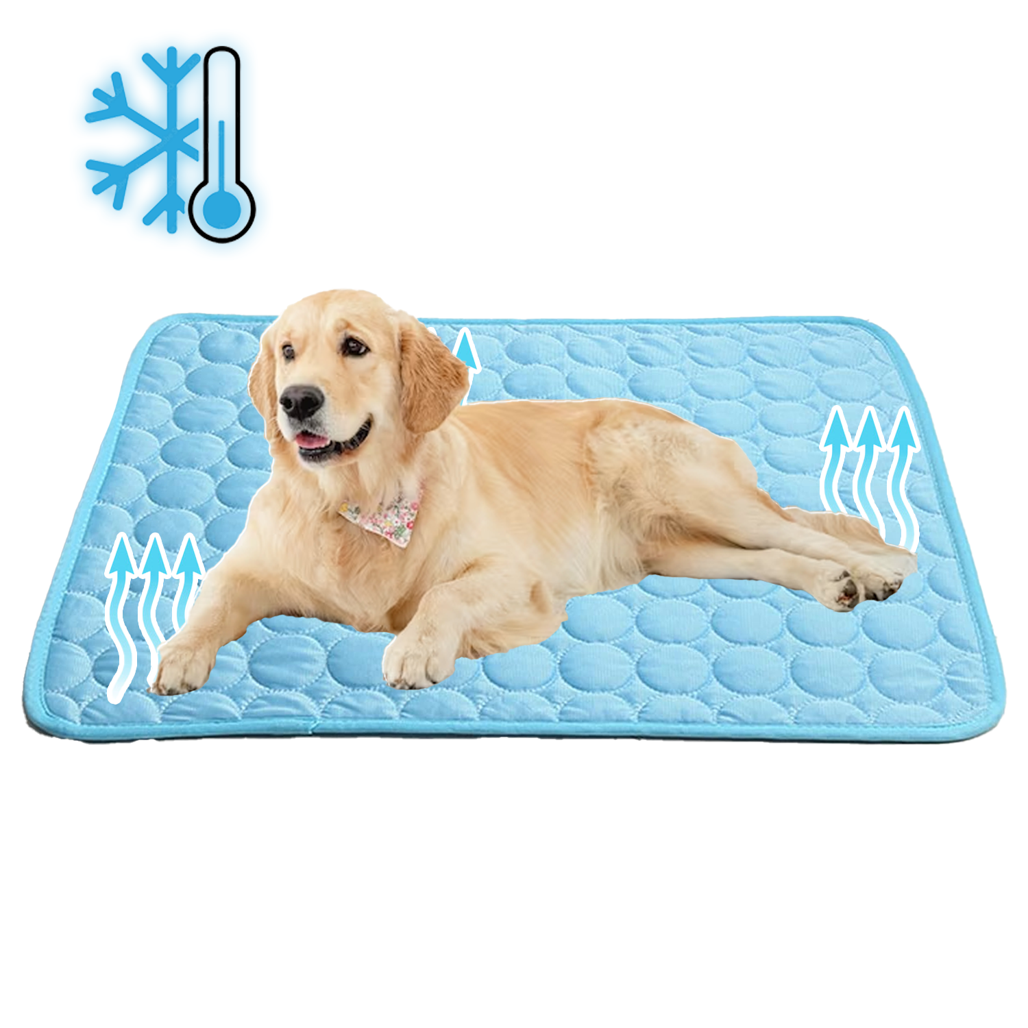 Tapis Refroidissant pour Chiens - Technologie Avancée et Sécurisée