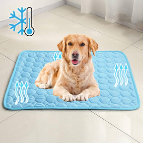 Tapis Refroidissant pour Chiens - Technologie Avancée et Sécurisée