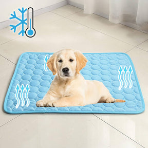 Tapis Refroidissant pour Chiens - Technologie Avancée et Sécurisée
