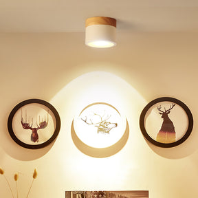 Spot de Plafond Minimaliste - Éclairage Ciblé et Design Scandinave