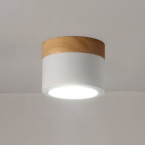 Spot de Plafond Minimaliste - Éclairage Ciblé et Design Scandinave