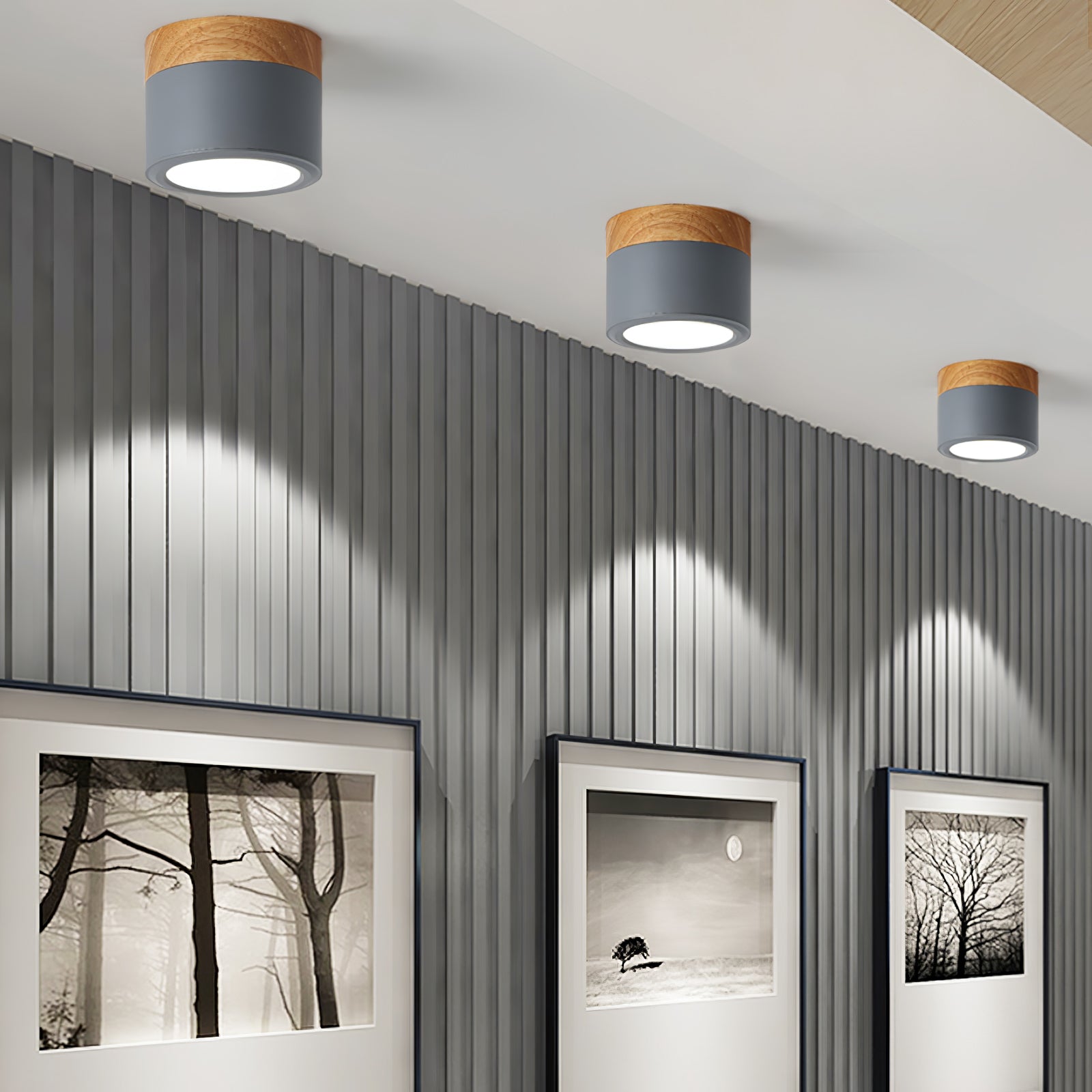 Spot de Plafond Minimaliste - Éclairage Ciblé et Design Scandinave