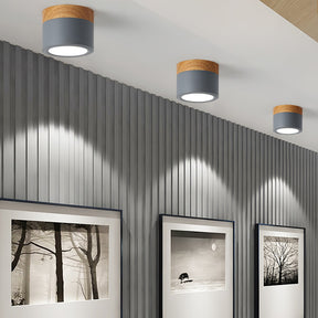 Spot de Plafond Minimaliste - Éclairage Ciblé et Design Scandinave