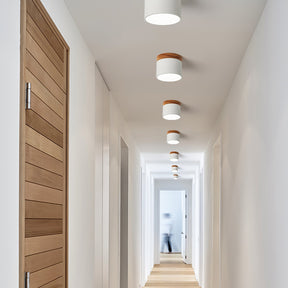 Spot de Plafond Minimaliste - Éclairage Ciblé et Design Scandinave