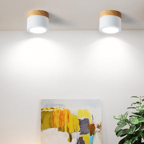 Spot de Plafond Minimaliste - Éclairage Ciblé et Design Scandinave