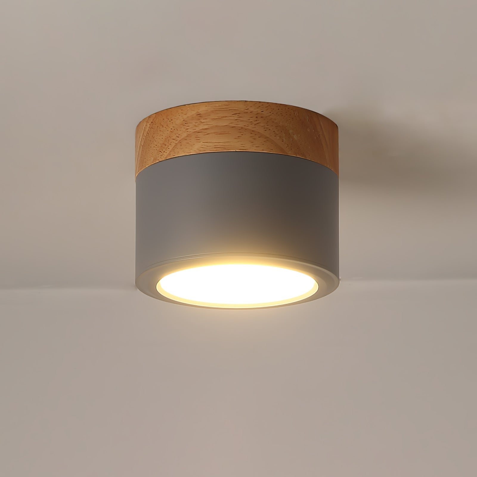 Spot de Plafond Minimaliste - Éclairage Ciblé et Design Scandinave