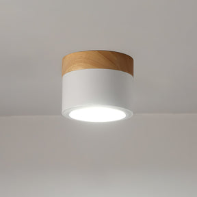 Spot de Plafond Minimaliste - Éclairage Ciblé et Design Scandinave