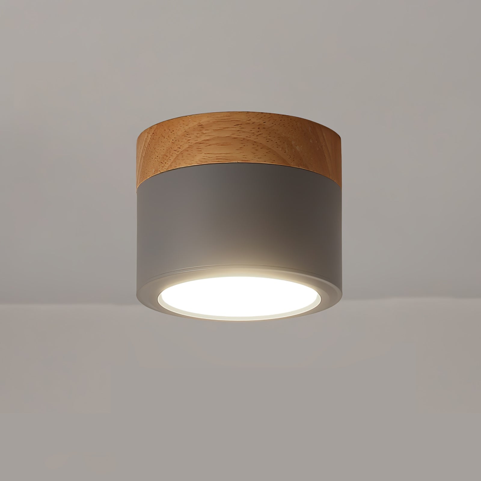 Spot de Plafond Minimaliste - Éclairage Ciblé et Design Scandinave