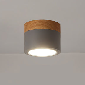 Spot de Plafond Minimaliste - Éclairage Ciblé et Design Scandinave