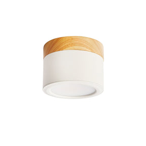 Spot de Plafond Minimaliste - Éclairage Ciblé et Design Scandinave