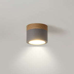 Spot de Plafond Minimaliste - Éclairage Ciblé et Design Scandinave