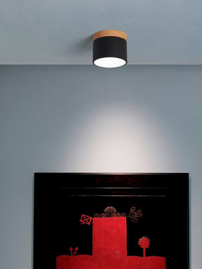 Spot de Plafond Minimaliste - Éclairage Ciblé et Design Scandinave