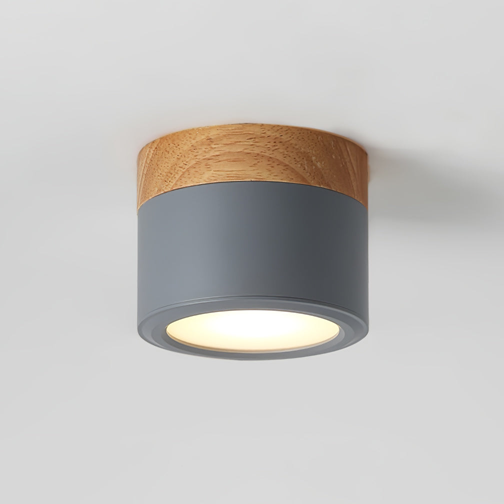 Spot de Plafond Minimaliste - Éclairage Ciblé et Design Scandinave