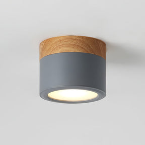 Spot de Plafond Minimaliste - Éclairage Ciblé et Design Scandinave