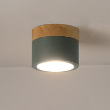 Spot de Plafond Minimaliste - Éclairage Ciblé et Design Scandinave