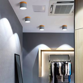 Spot de Plafond Minimaliste - Éclairage Ciblé et Design Scandinave