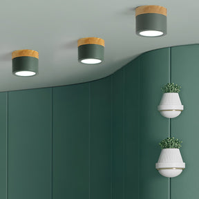Spot de Plafond Minimaliste - Éclairage Ciblé et Design Scandinave
