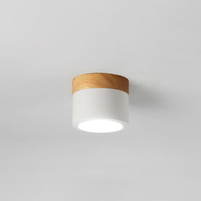 Spot de Plafond Minimaliste - Éclairage Ciblé et Design Scandinave