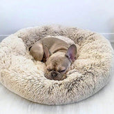 Lit Orthopédique pour Grand Chien - Confort Douillet et Housse Lavable