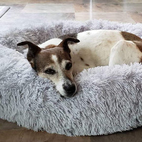 Lit Orthopédique pour Grand Chien - Confort Douillet et Housse Lavable