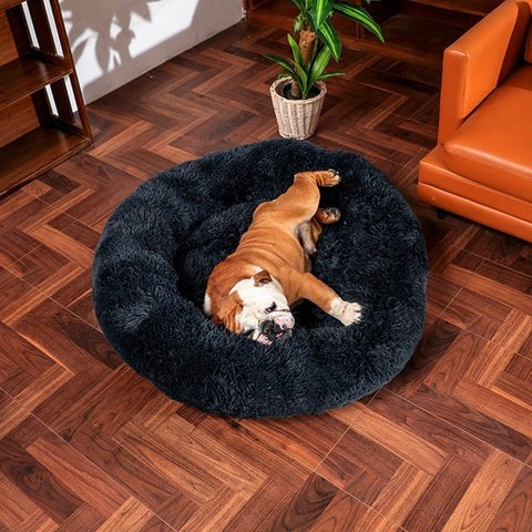 Lit Orthopédique pour Grand Chien - Confort Douillet et Housse Lavable