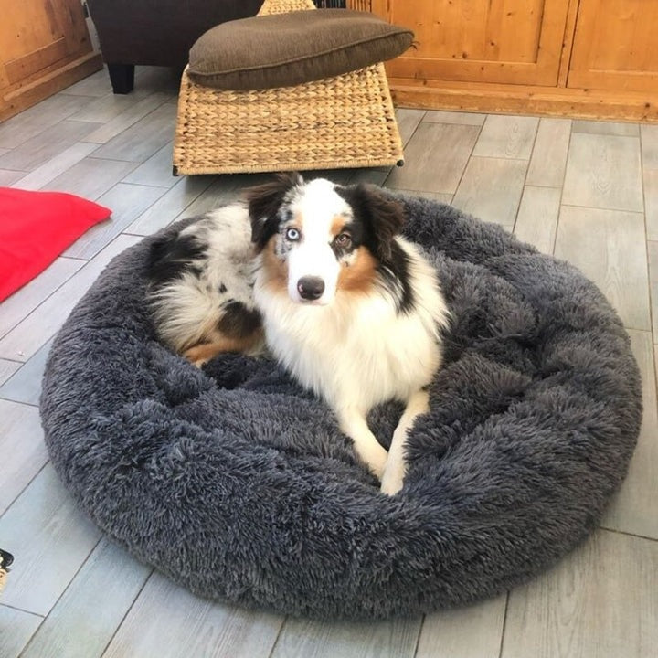 Lit Orthopédique pour Grand Chien - Confort Douillet et Housse Lavable