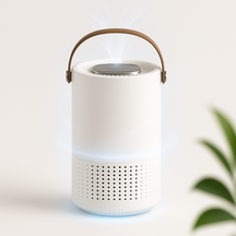 Purificateur d'air HEPA Portable - Compact et Silencieux avec Générateur d'Ions