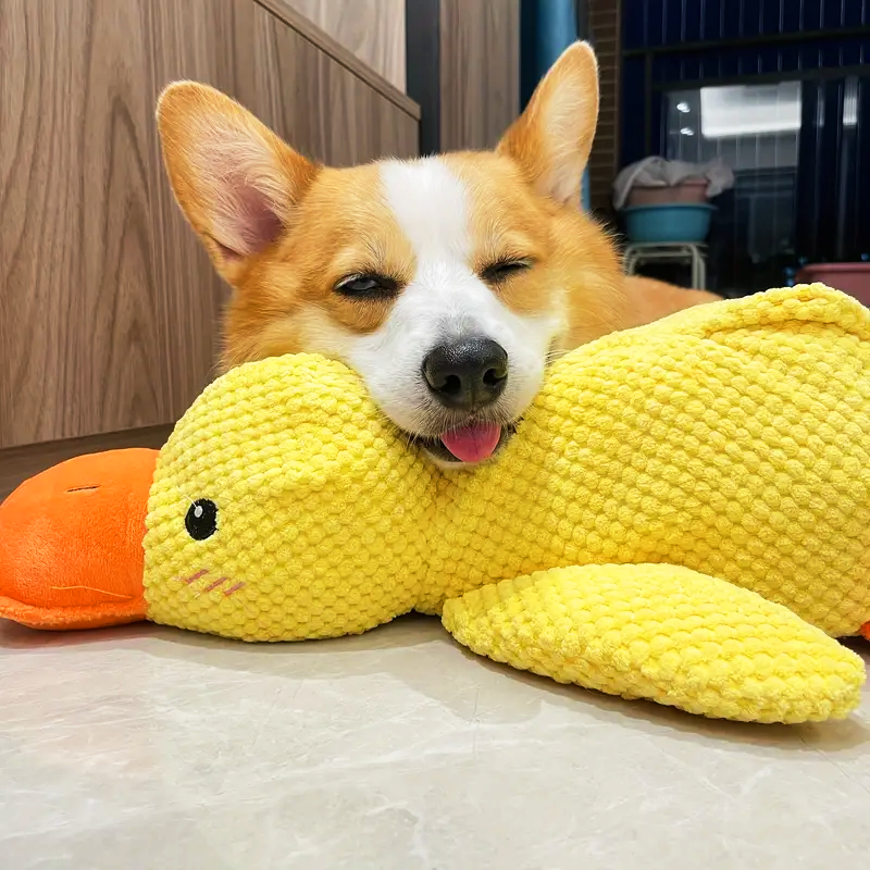 Jouet Interactif pour Chien - Stimulation Mentale et Réduction du Stress