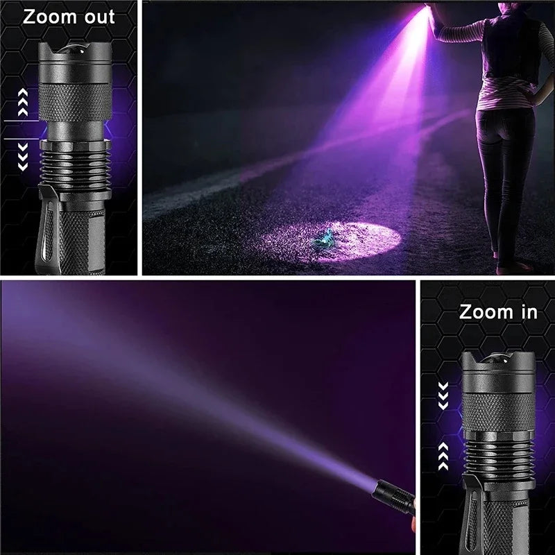 Lampe UV de Détection des Taches - Efficace pour Urine d'Animaux et Impuretés