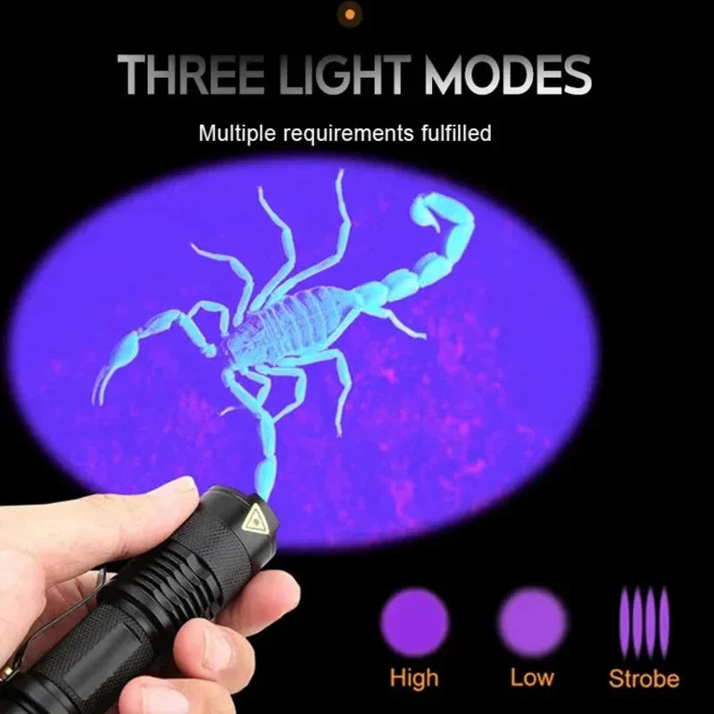 Lampe UV de Détection des Taches - Efficace pour Urine d'Animaux et Impuretés