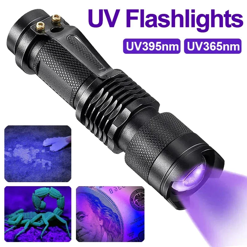 Lampe UV de Détection des Taches - Efficace pour Urine d'Animaux et Impuretés