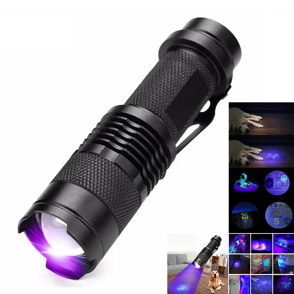 Lampe UV de Détection des Taches - Efficace pour Urine d'Animaux et Impuretés