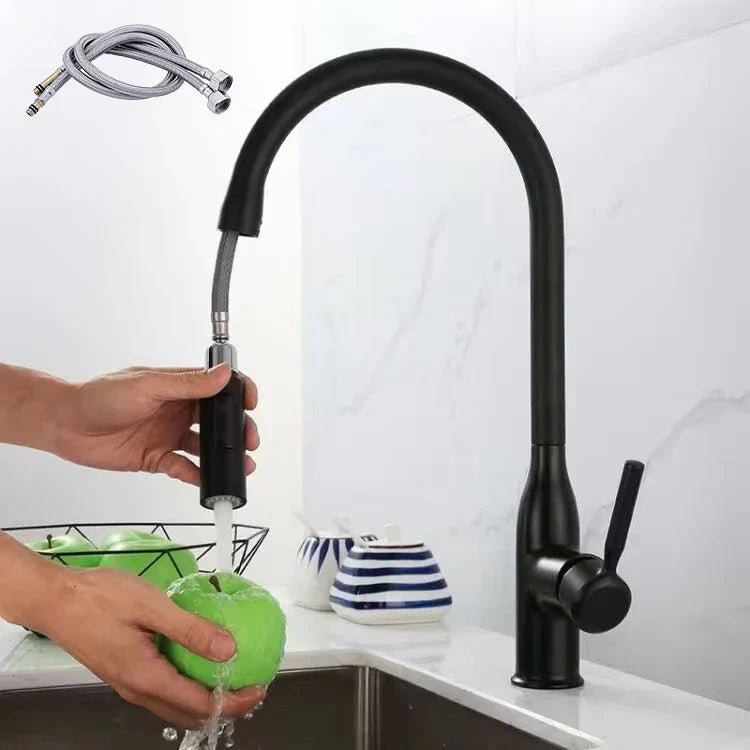 Robinet de Cuisine avec Douchette Extractible - Design Élégant et Installation Facile