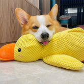 Jouet Interactif pour Chien en Canard - Son de Canard et Lavable en Machine